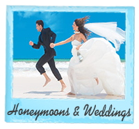 Weddings & Romance